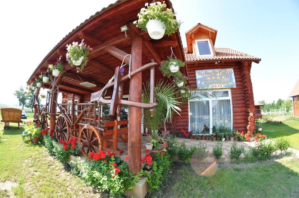 Roenk-Wellness Panzio Mezopeterd Bed & Breakfast Dış mekan fotoğraf