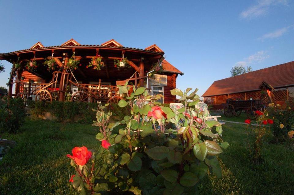Roenk-Wellness Panzio Mezopeterd Bed & Breakfast Dış mekan fotoğraf